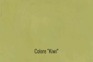16kiwi.jpg