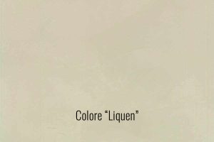 17liquen.jpg